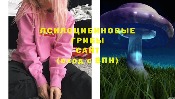 ГАЛЛЮЦИНОГЕННЫЕ ГРИБЫ Бугульма